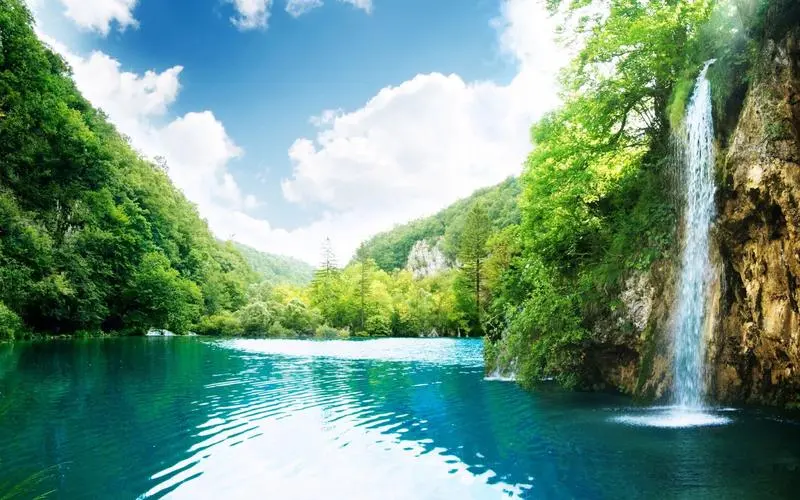 高标准高性能网络化